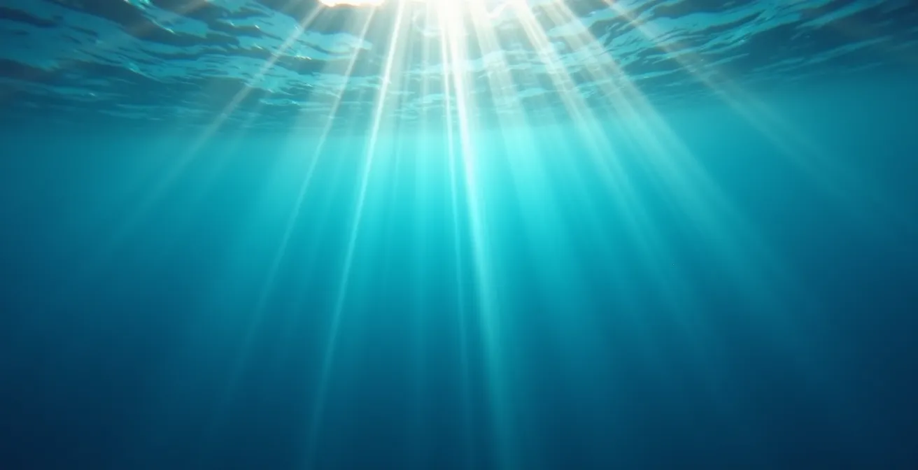Vue sous-marine montrant différentes profondeurs d'eau avec jeu de lumière naturelle
